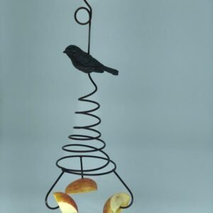 Comedouro Espiral em Ferro